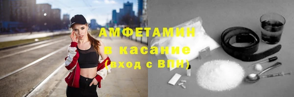 прущие грибы Алзамай