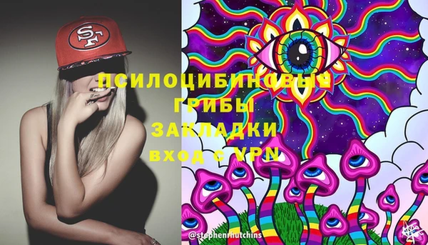 синтетический гашиш Алексин